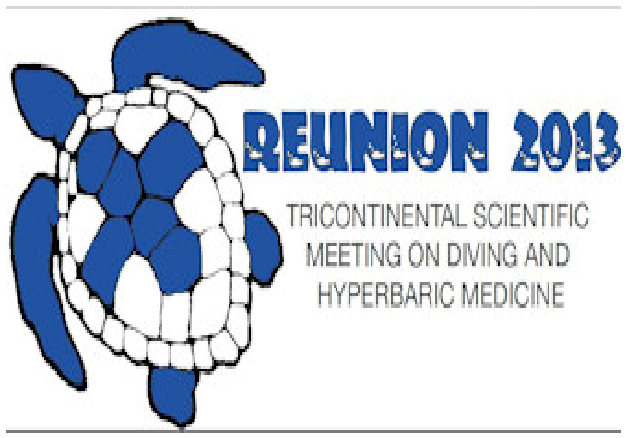 File:Logoreunion.bmp